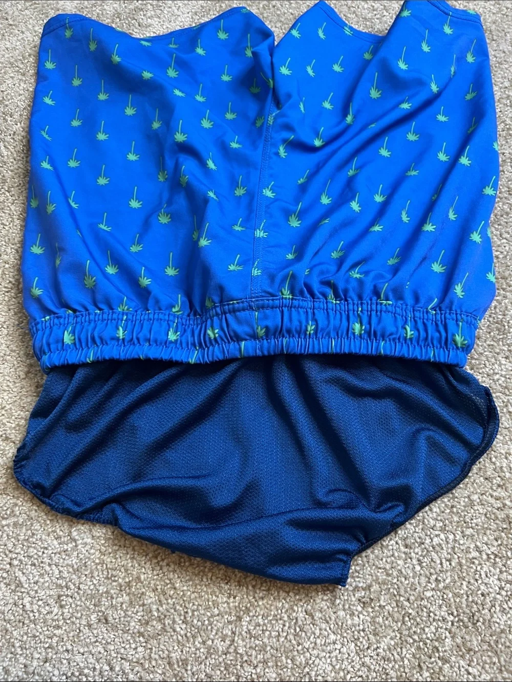 Sperry Palm swim’s trunks